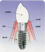 ドリームニュース