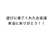 ドリームフェスタ